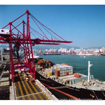 Professional Ocean Freight to Los Angeles Long Beach Seattle New York Miami